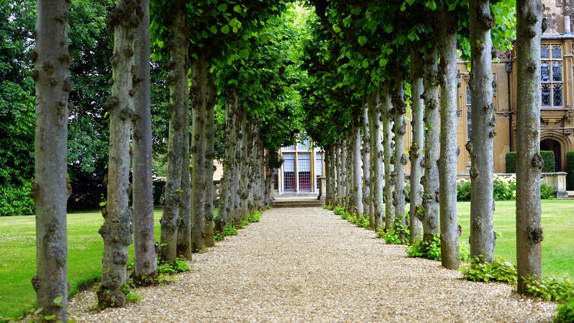 Les meilleurs agrégats pour votre jardin ! Image