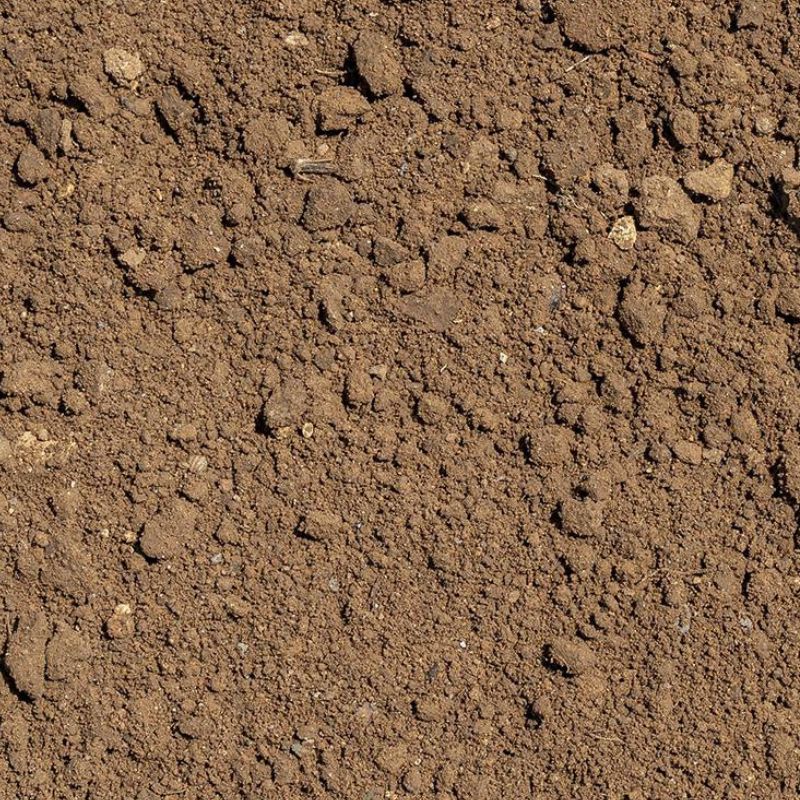 Terre végétale en vrac livrée sur chantier près de Montpellier
Camion déchargeant de la terre végétale pour aménagement de jardin
Terre végétale tamisée prête pour engazonnement à Montpellier
Livraison de terre végétale pour potager et espaces verts locaux
Tas de terre végétale professionnelle destiné aux travaux paysagers